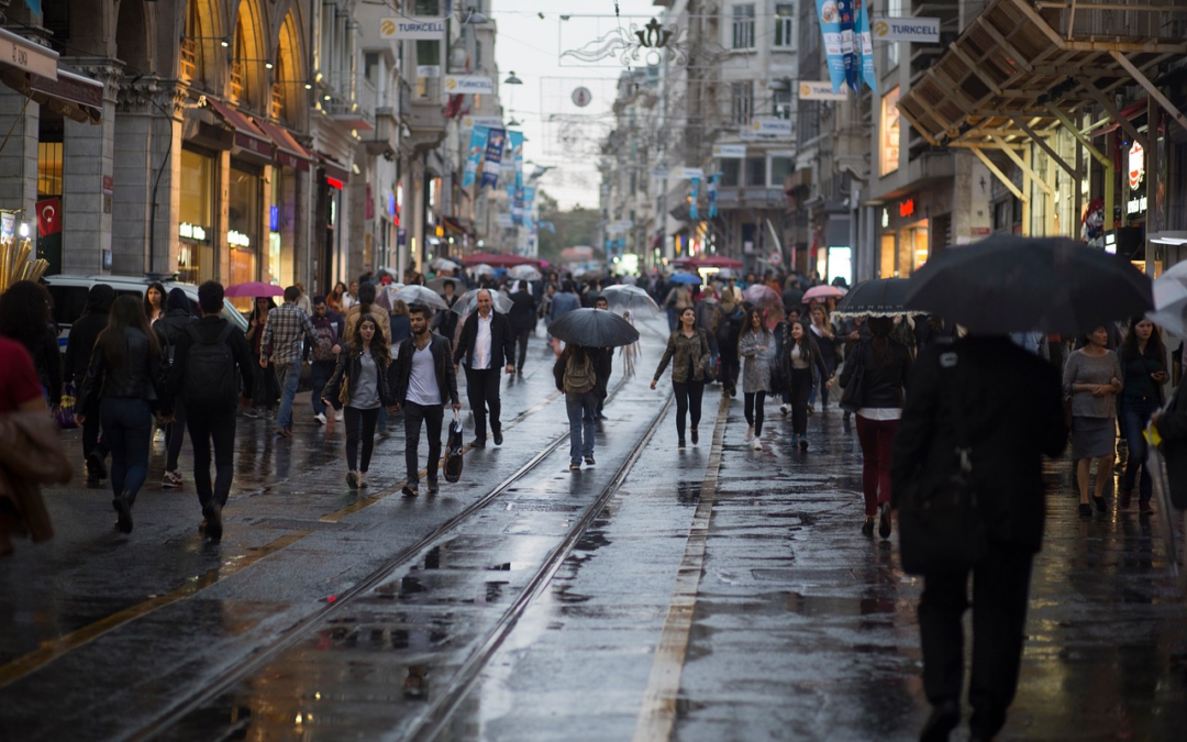 Tous les parapluies homme Made in France